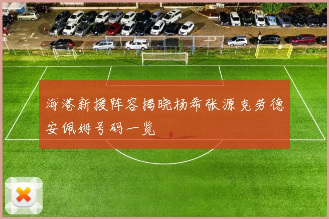 海港新援阵容揭晓杨希张源克劳德安佩姆号码一览